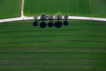 Landschaft 2