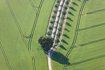 Landschaft 3
